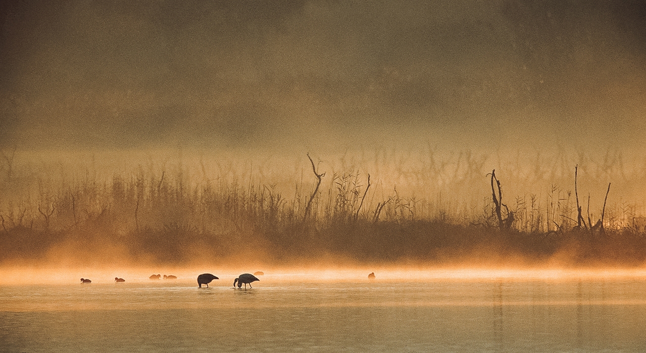 The Gialova lagoon 3