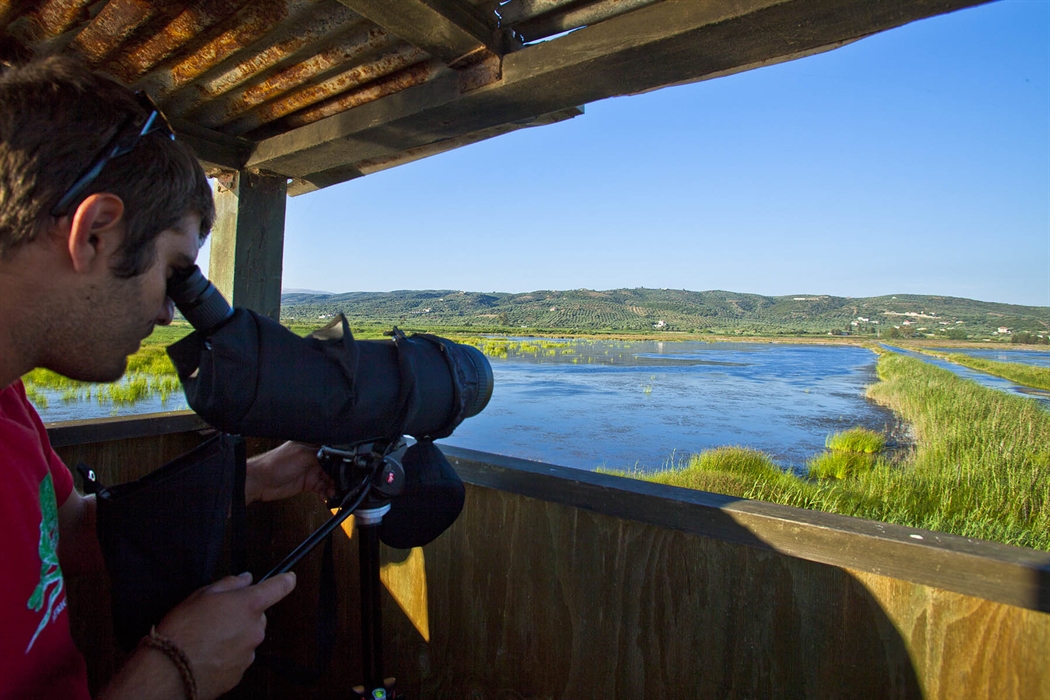 Λιμνοθάλασσα Γιάλοβας: Παρατήρηση πουλιών στο νοτιότερο μεταναστευτικό σταθμό της Ευρώπης 2