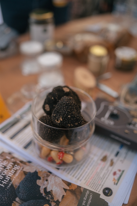 Mainalo : Chasseurs de champignons, connaissances et saveurs 6