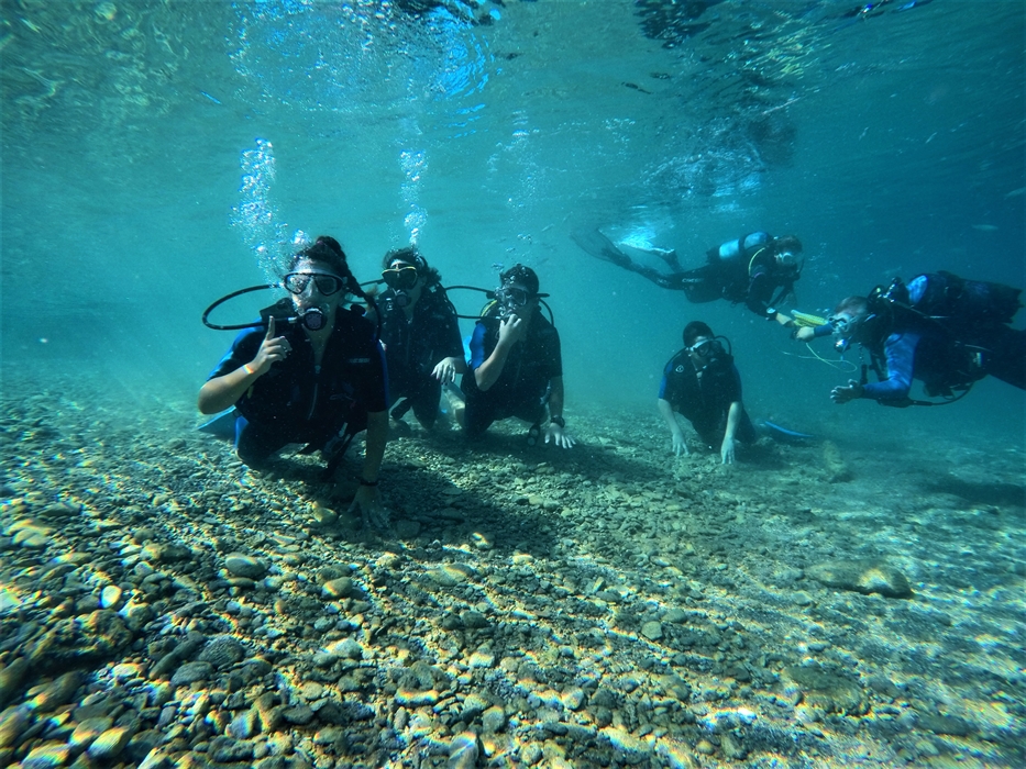 Navarino Bay: Dive into a unique shipwrecks “park” 3