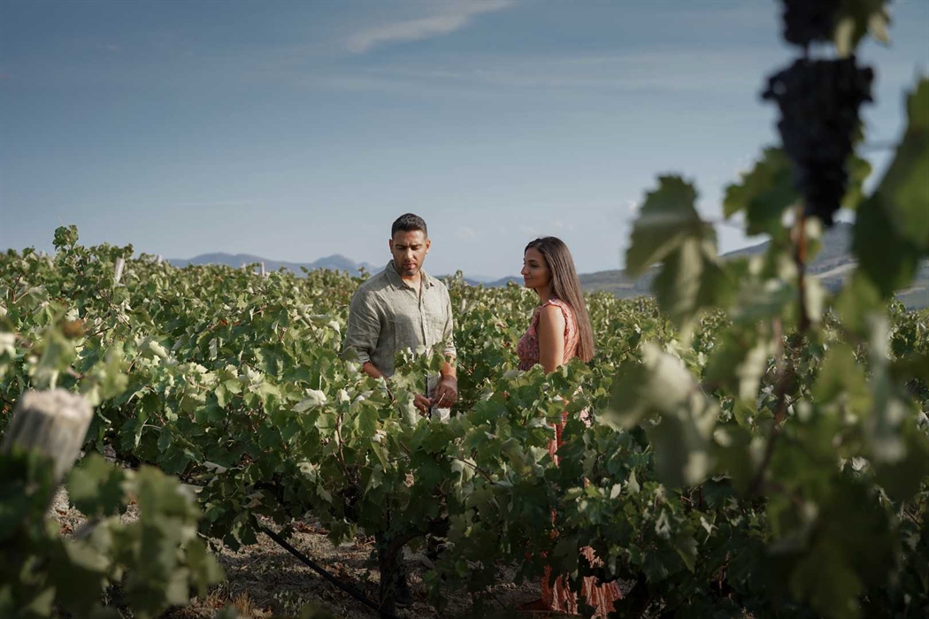 Nemea: Walk through picturesque vineyards and experience the scents and taste of unique wines 6