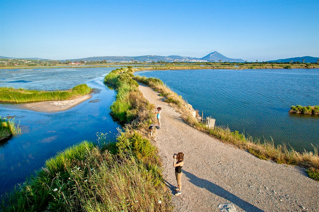 The Gialova lagoon 6