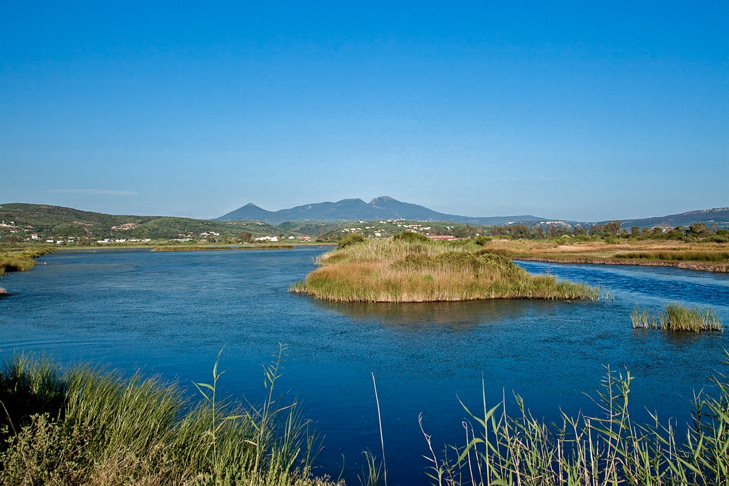 The Gialova lagoon 5