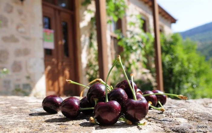 cherries platanos