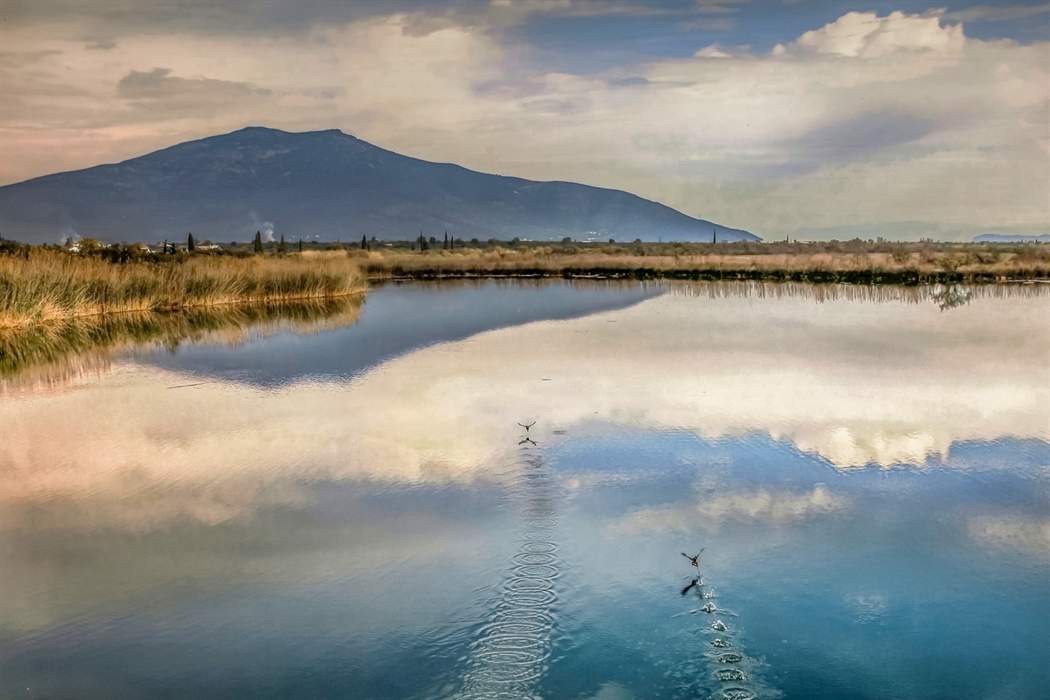 The Moustos lagoon