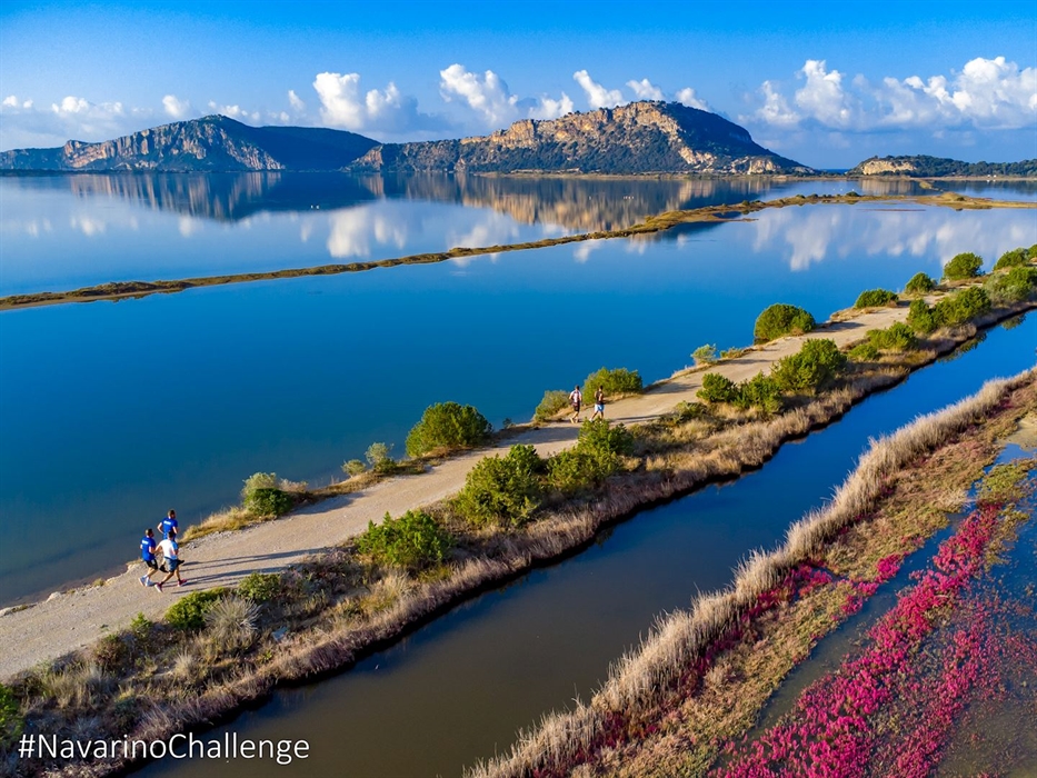 navarino challenge