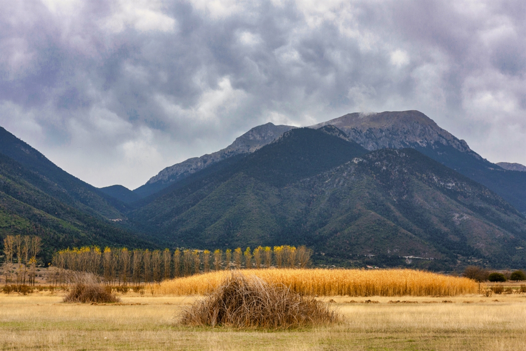 The wetland of Lake Stymphalia 2